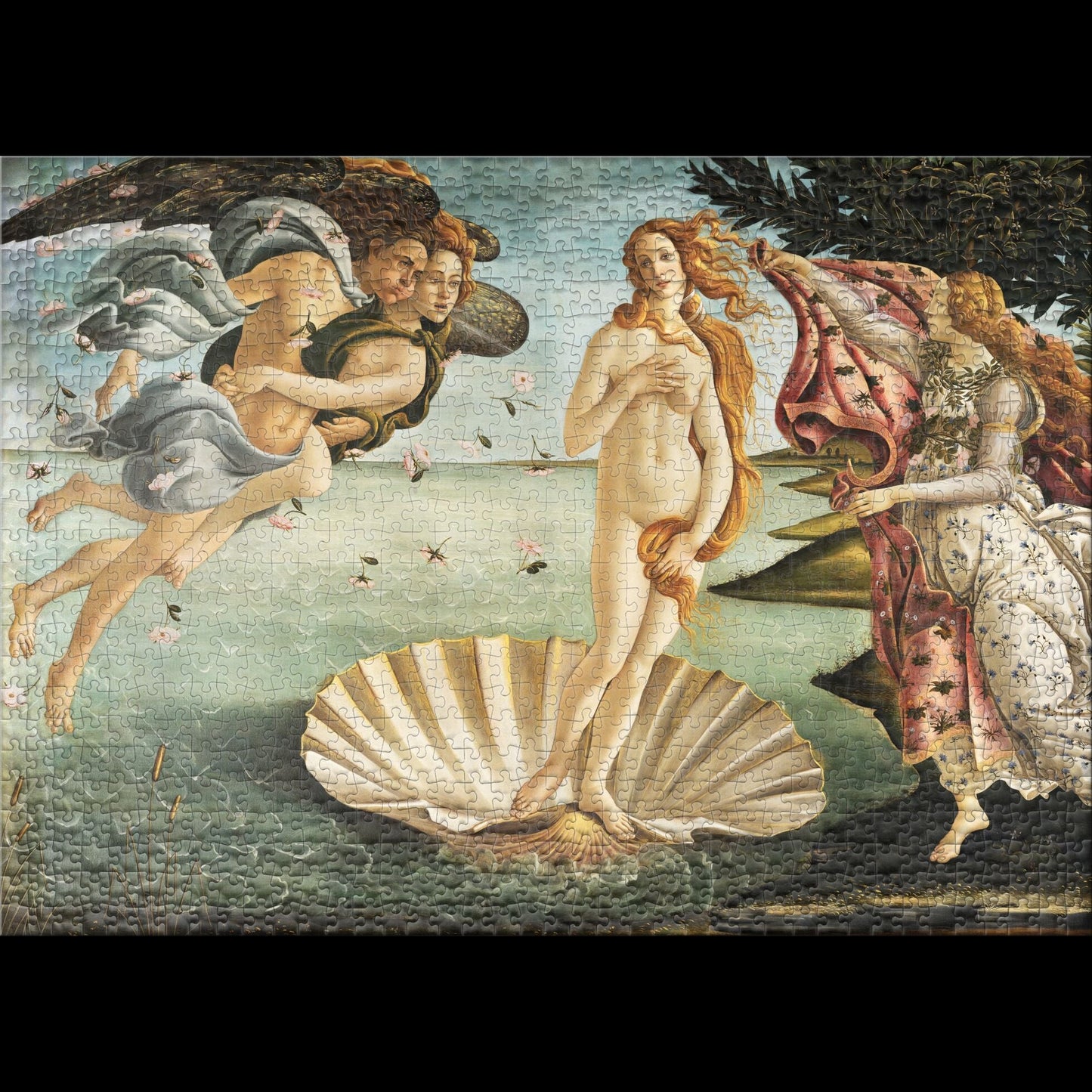 Puzzle 1000 The Birth of Venus