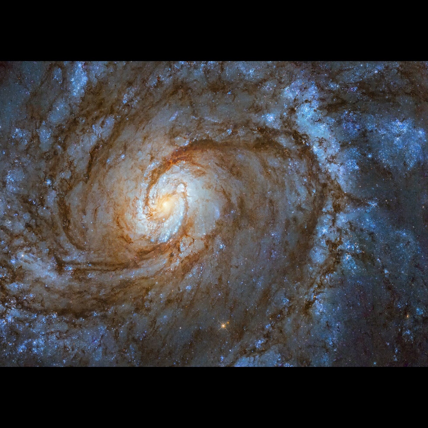 Image Messier 100