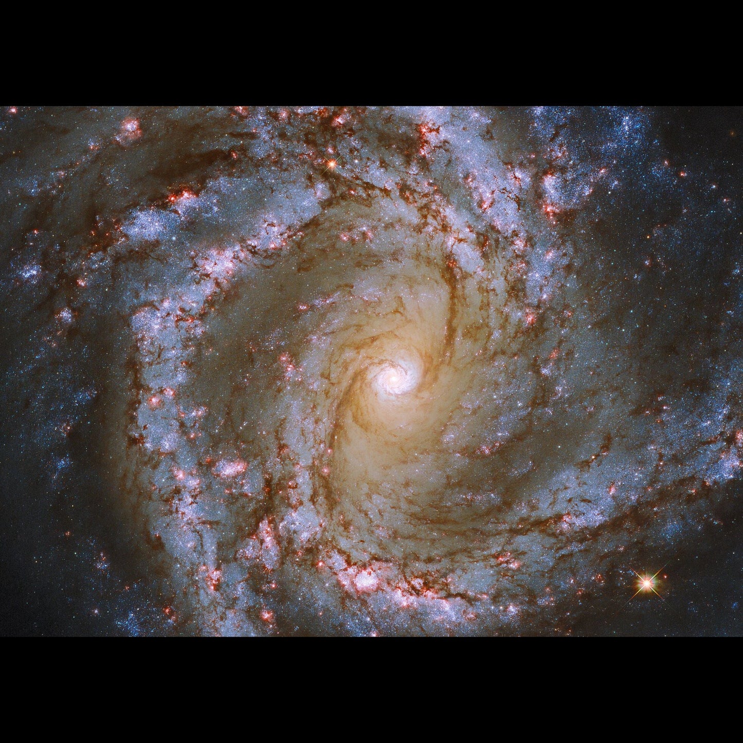 Image M61