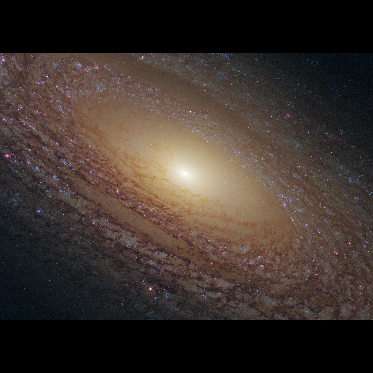 Image NGC 2841