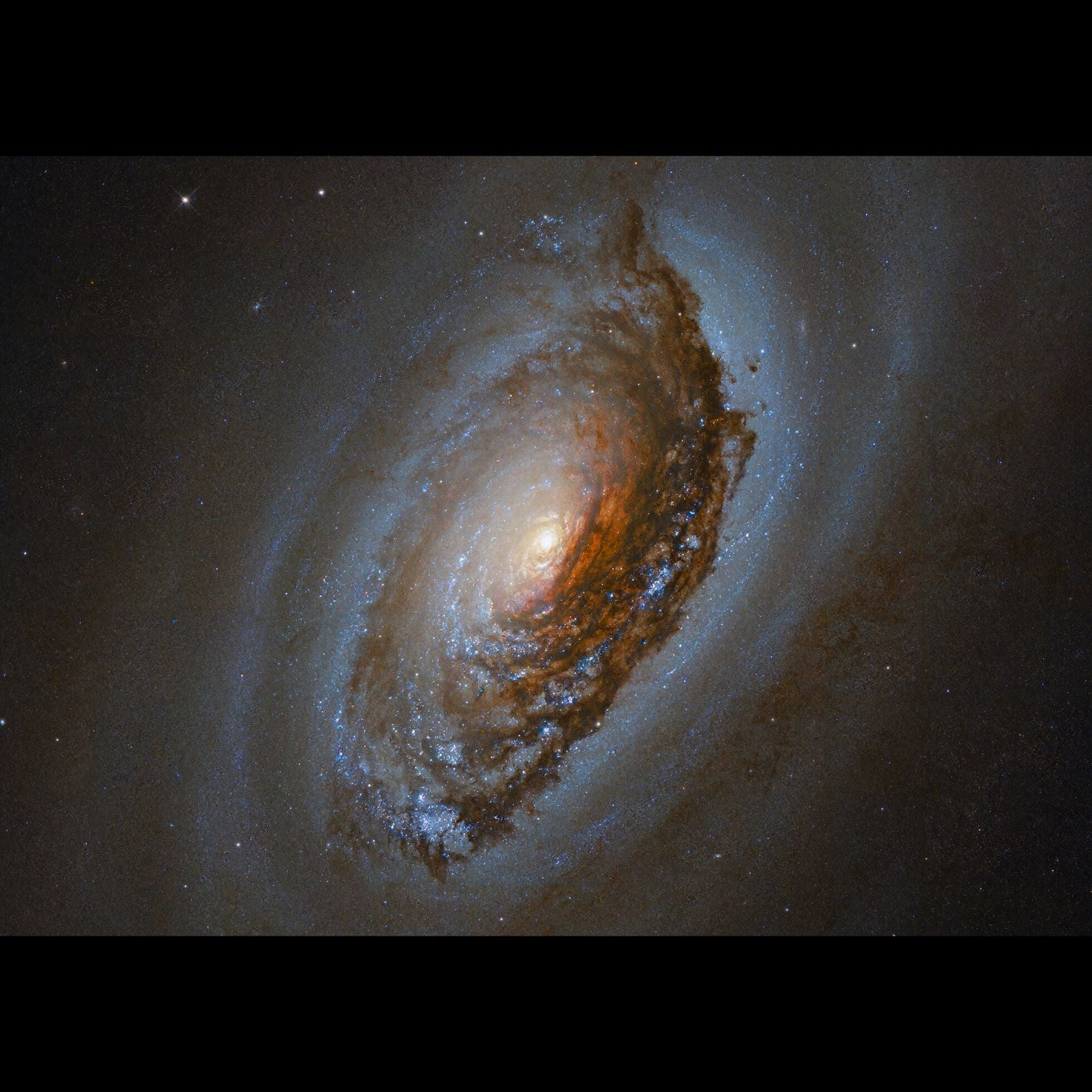 Image NGC 4826