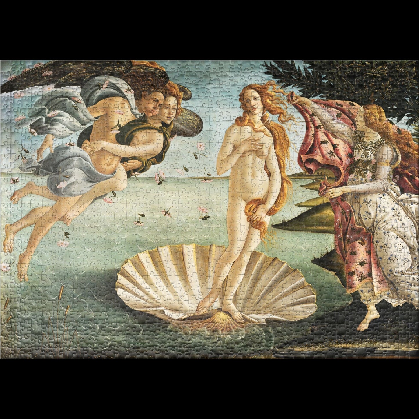 The Birth of Venus