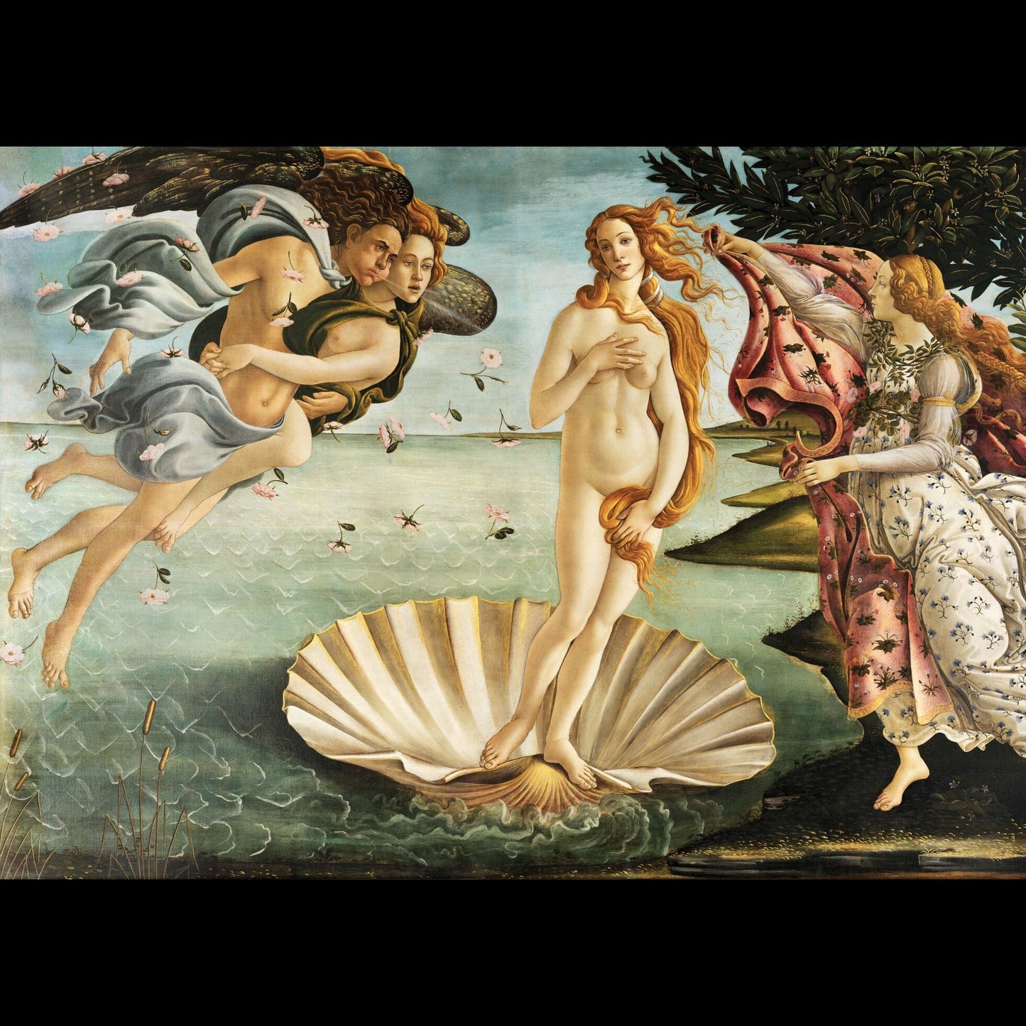 The Birth of Venus