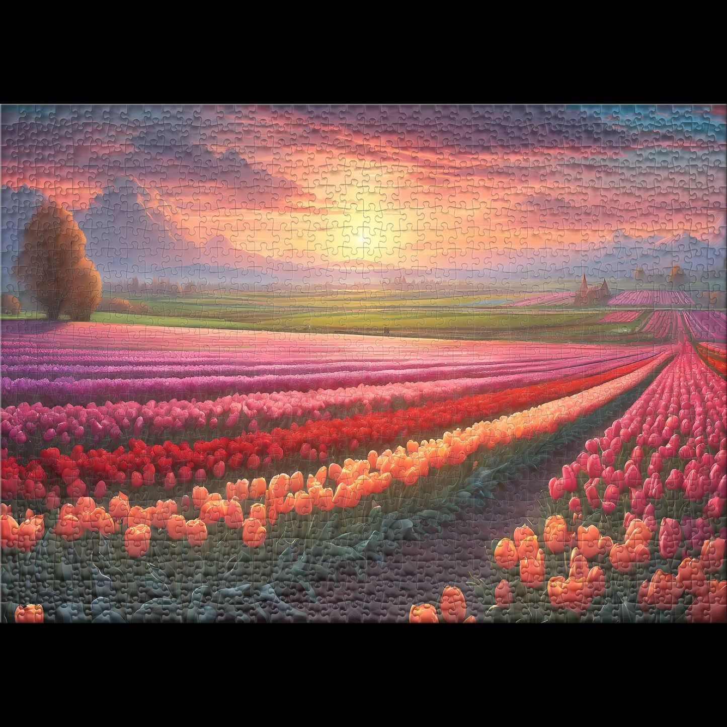 Tulip Fields of Netherlands